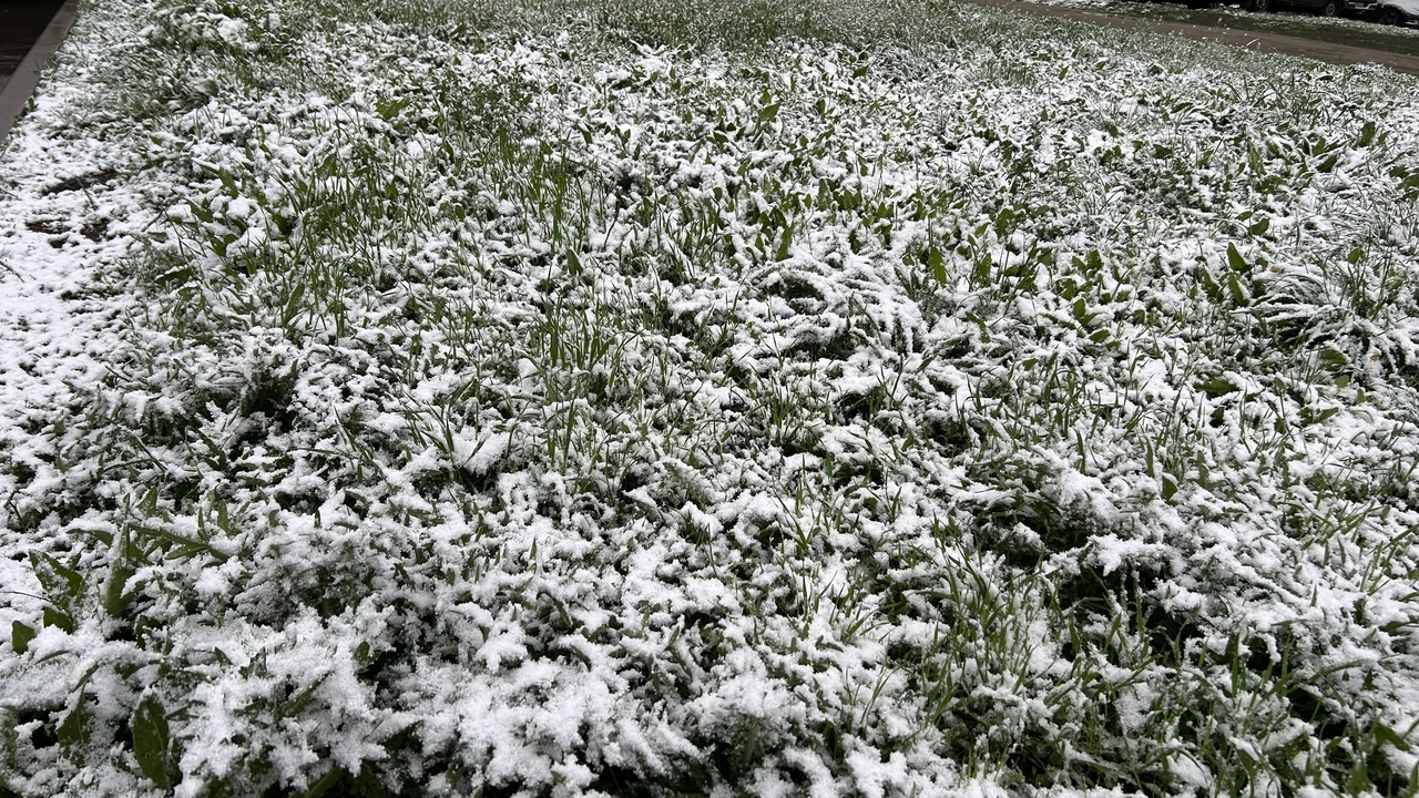 Во второй месяц осени в Самарской области устан...