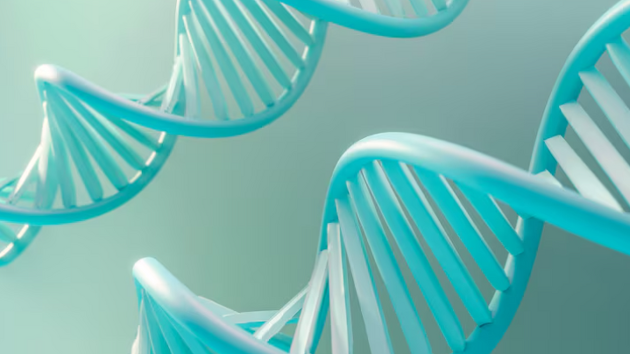 На Туринской плащанице специалисты нашли ДНК людей, животных и растений Анализ Туринской плащаницы выявил разнообразную...