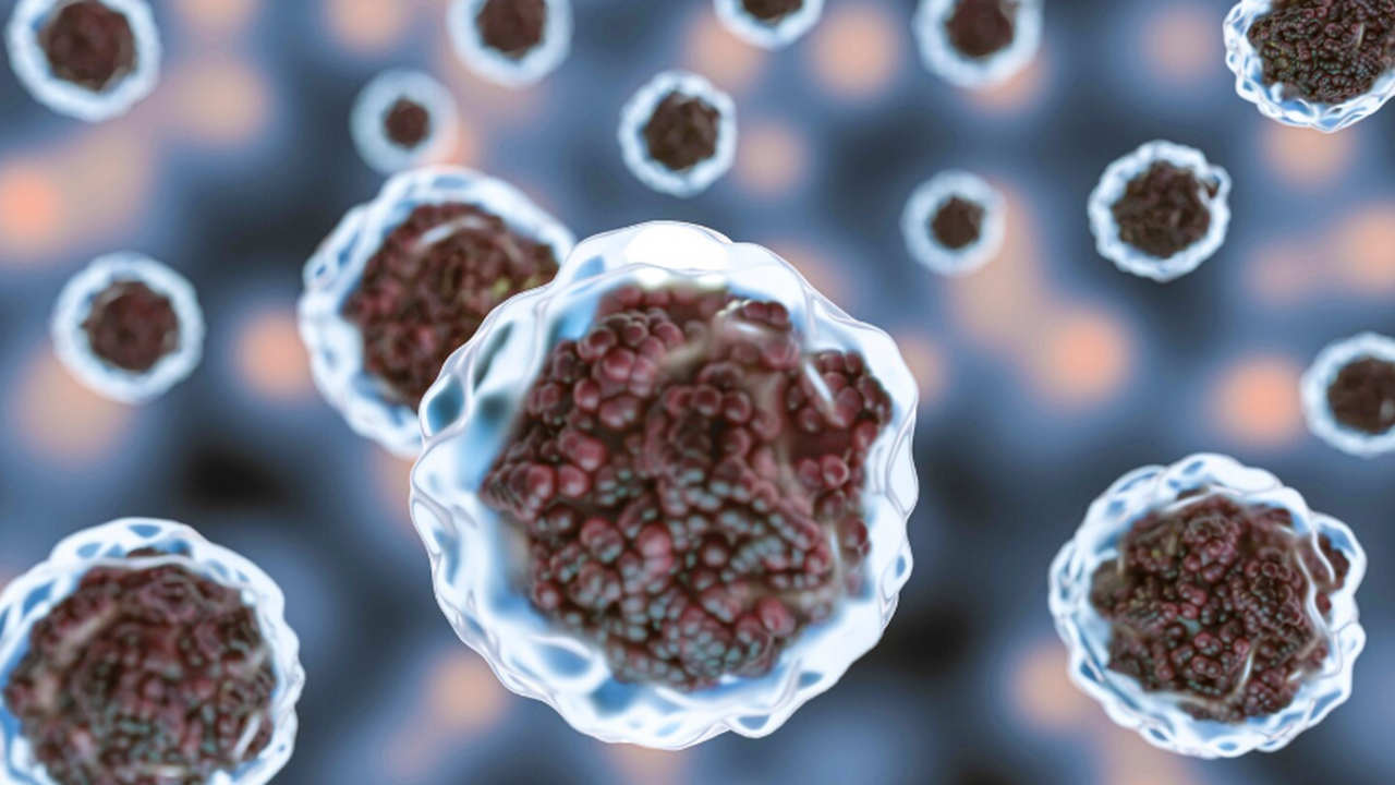 Группа биологов предложила новый способ лишить ...