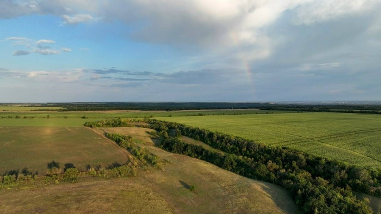 Самарская область завершила масштабную работу по созданию охранных природных зон Созданы охранные зоны для 60 памятников природы