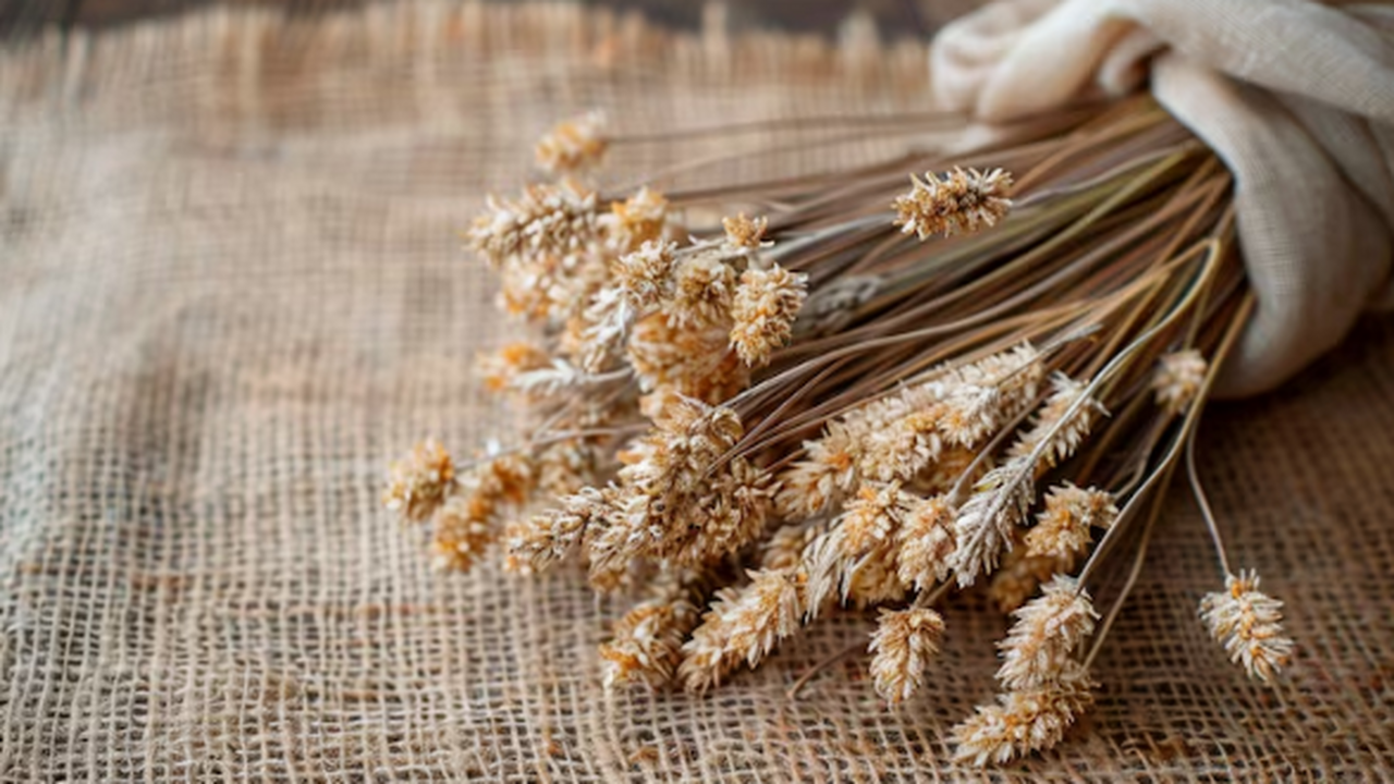 Frontiers: названы продукты, полезные для кишечника и сердца одновременно Учёные обобщили результаты исследований о влиян...