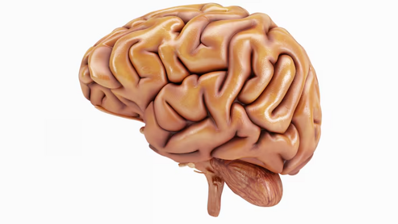 СПб ФИЦ РАН создал нейросеть, распознающую эмоц...