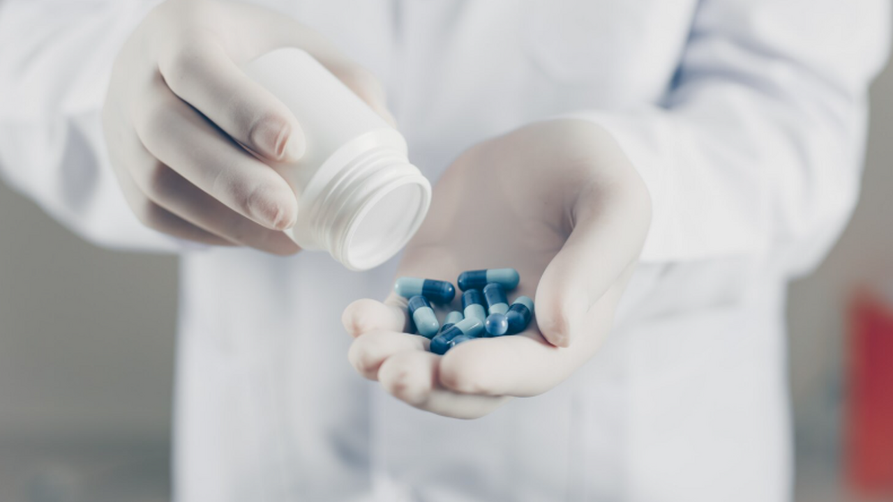 В БФУ стартовал проект по изучению устойчивости...