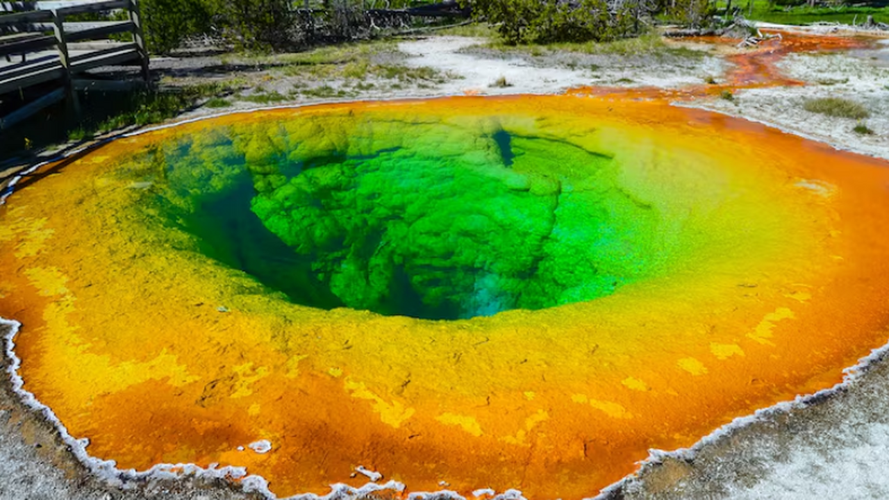 В разных регионах России выделяют несколько тер...