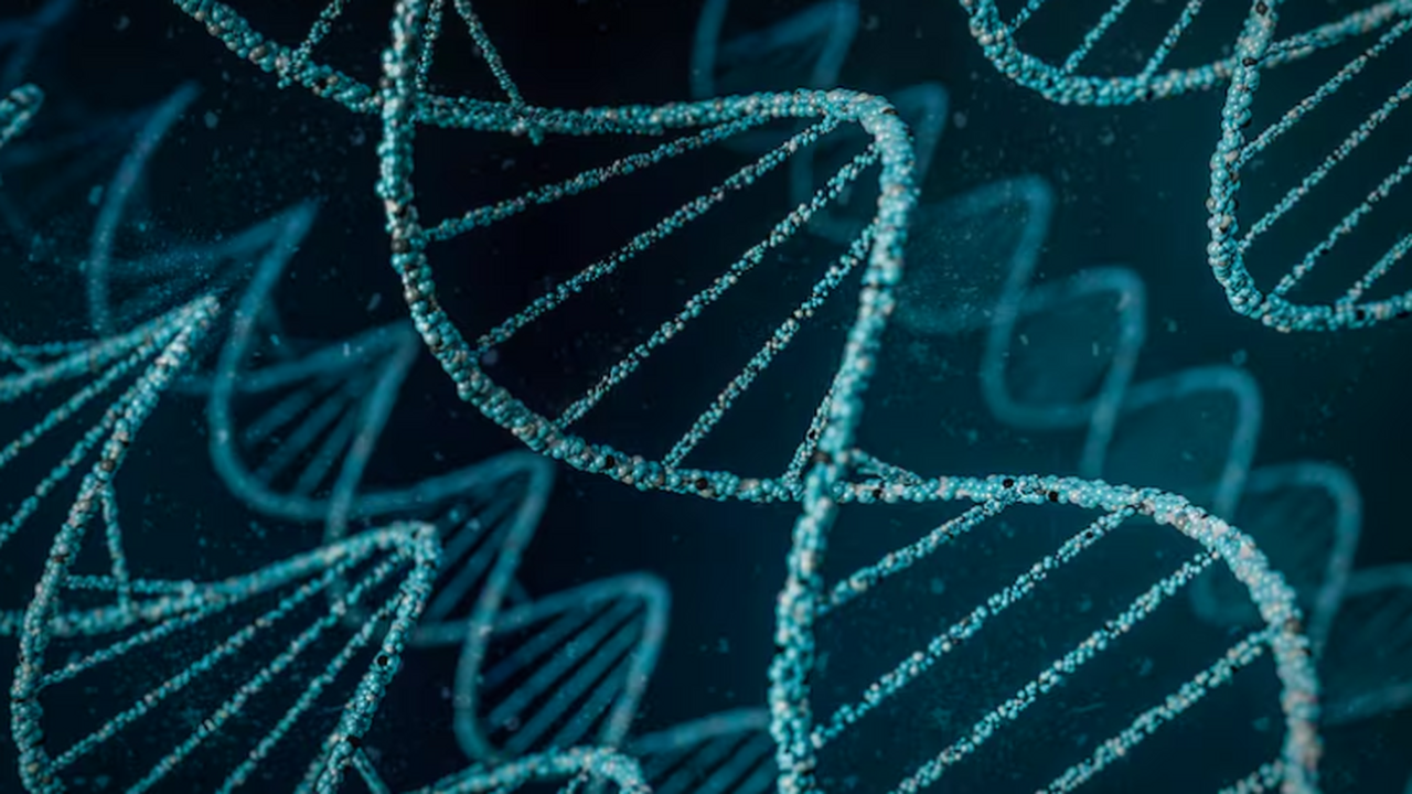 Новая методика калифорнийских ученых позволяет ...