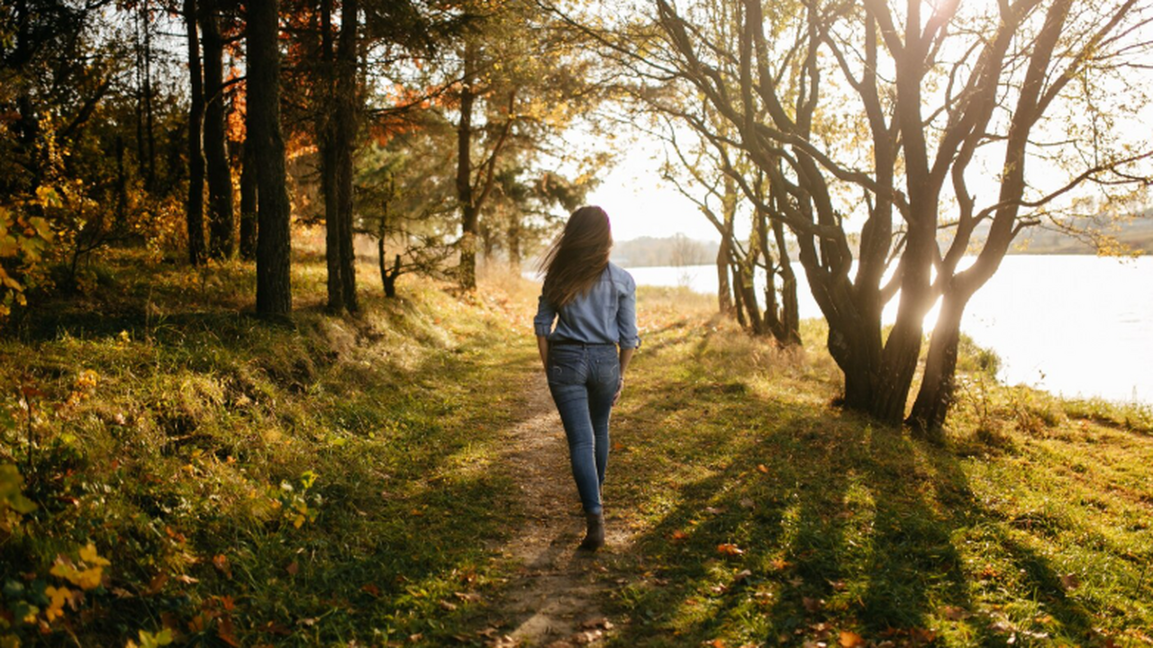 Утренний свет и регулярные прогулки помогают на...