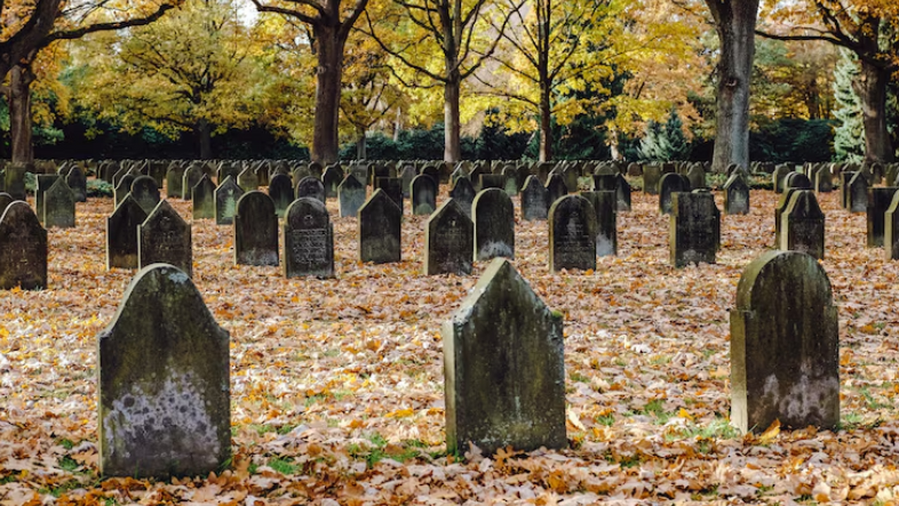 Массовое захоронение в Джараше, Иордания, подтв...