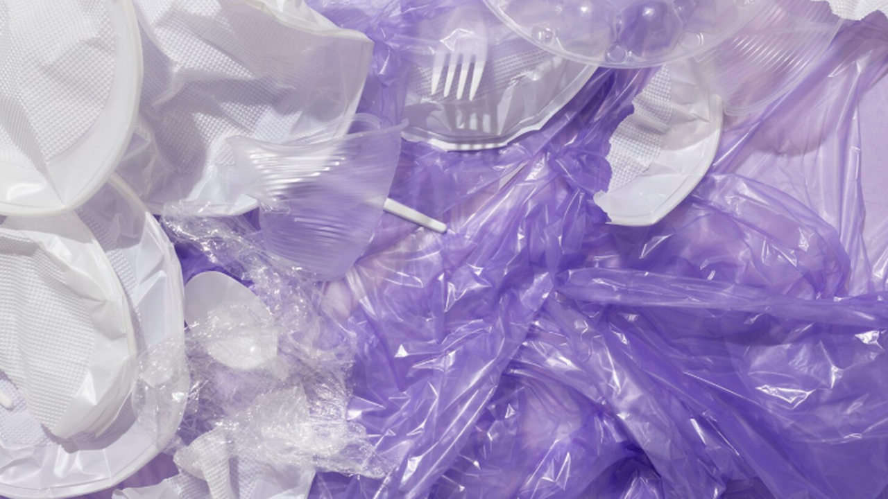 Канада: микропластик выявили в мясе омаров с промысловых участков Учёные Университета Далхаузи проанализировали 1...