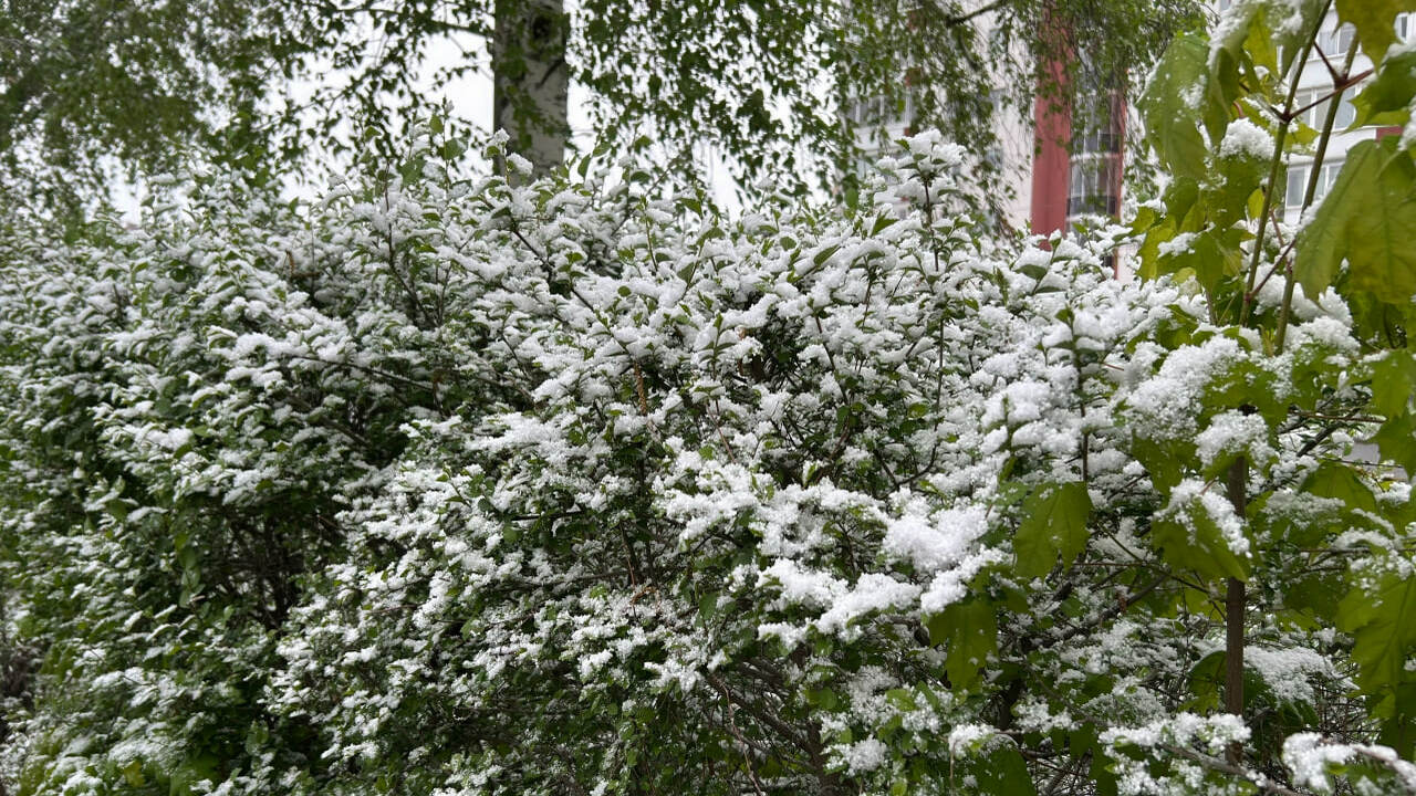 В Самарской области на майские праздники ожидае...