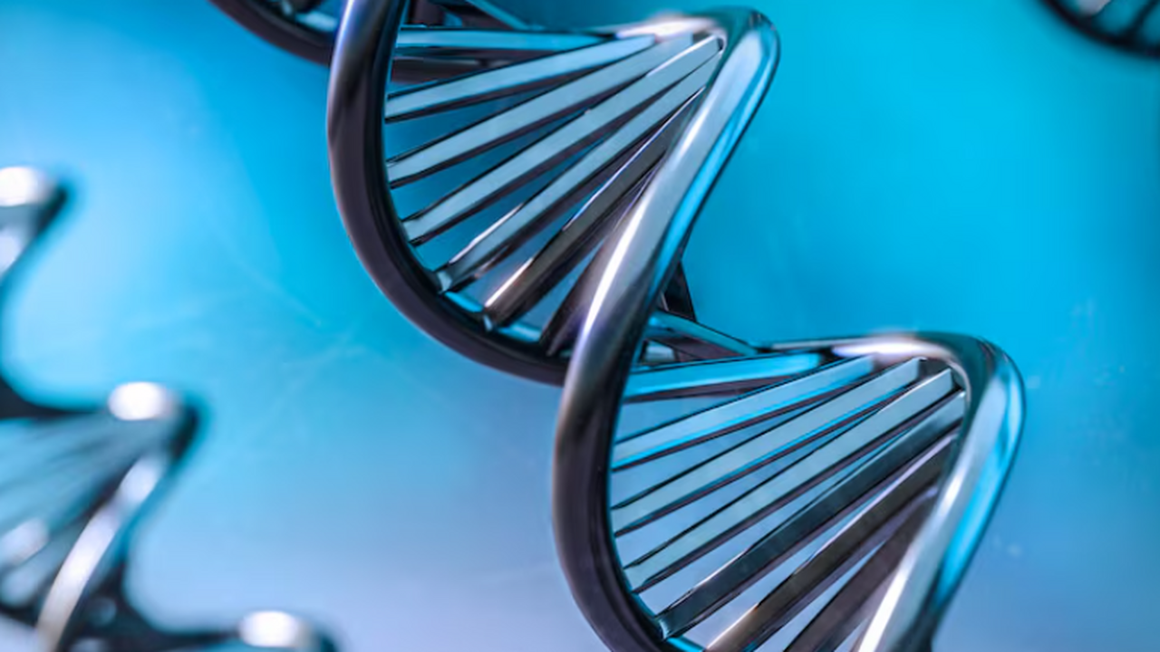 Чуть более двадцати лет назад завершился междун...