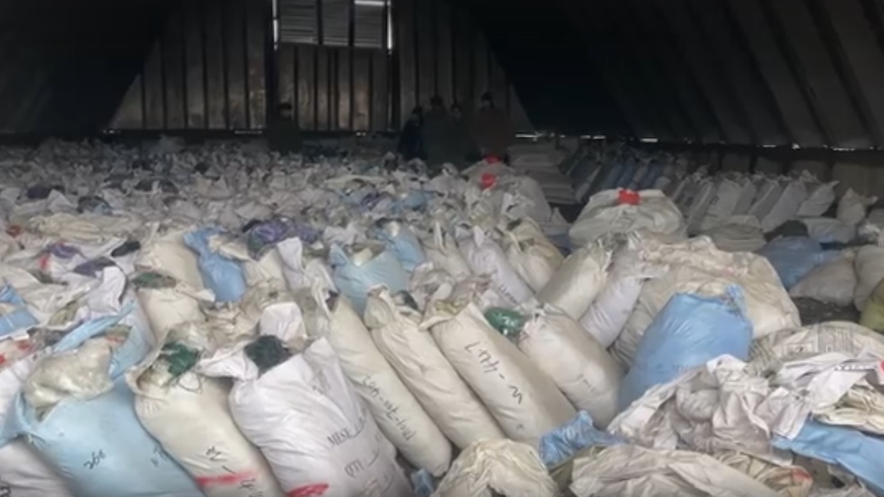 Сети были изъяты у экс-полицейских, осужденных ...