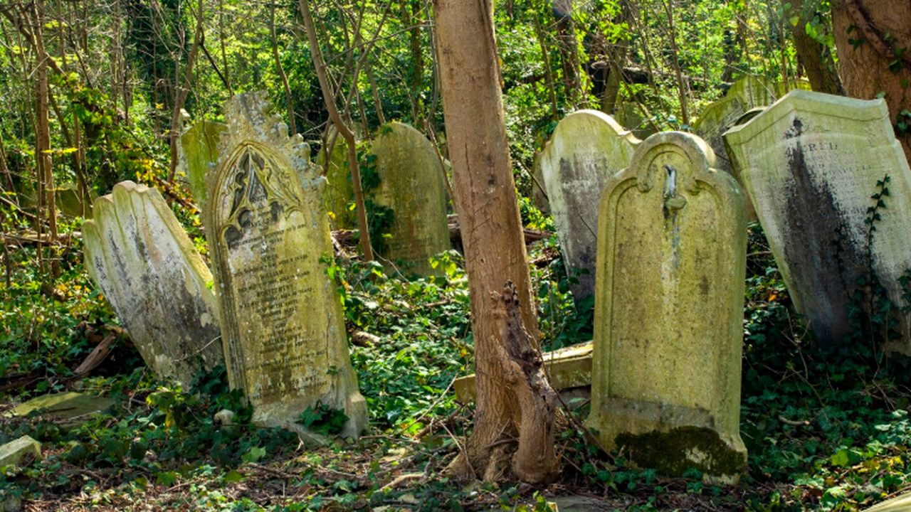 Исследование Science Advances показало, что в д...