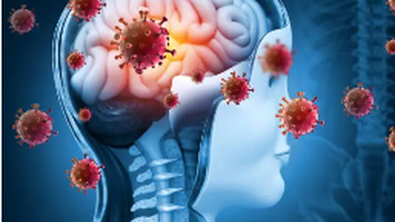 Заболеваемость менингококковой инфекцией выросл...