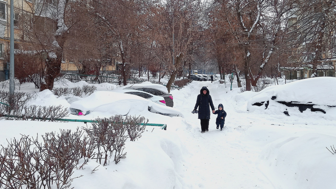 Дед Мороз, похоже, решил взять отпуск, уступив ...