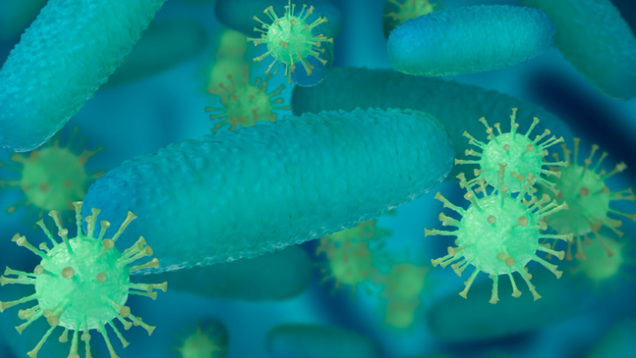 Исследование показало, что кишечные бактерии мо...