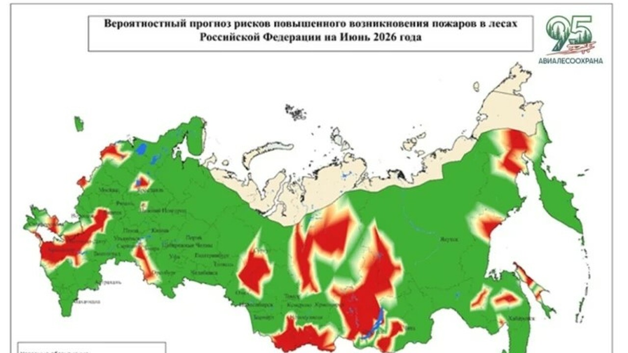 Самарская область вошла в прогнозную зону повышенной пожарной опасности Основными причинами природных пожаров остаются ...