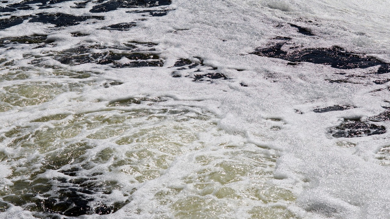 В Самарской области проверили сообщения о загрязнении затона — нарушений нет Дополнительный осмотр планируется провести с уч...