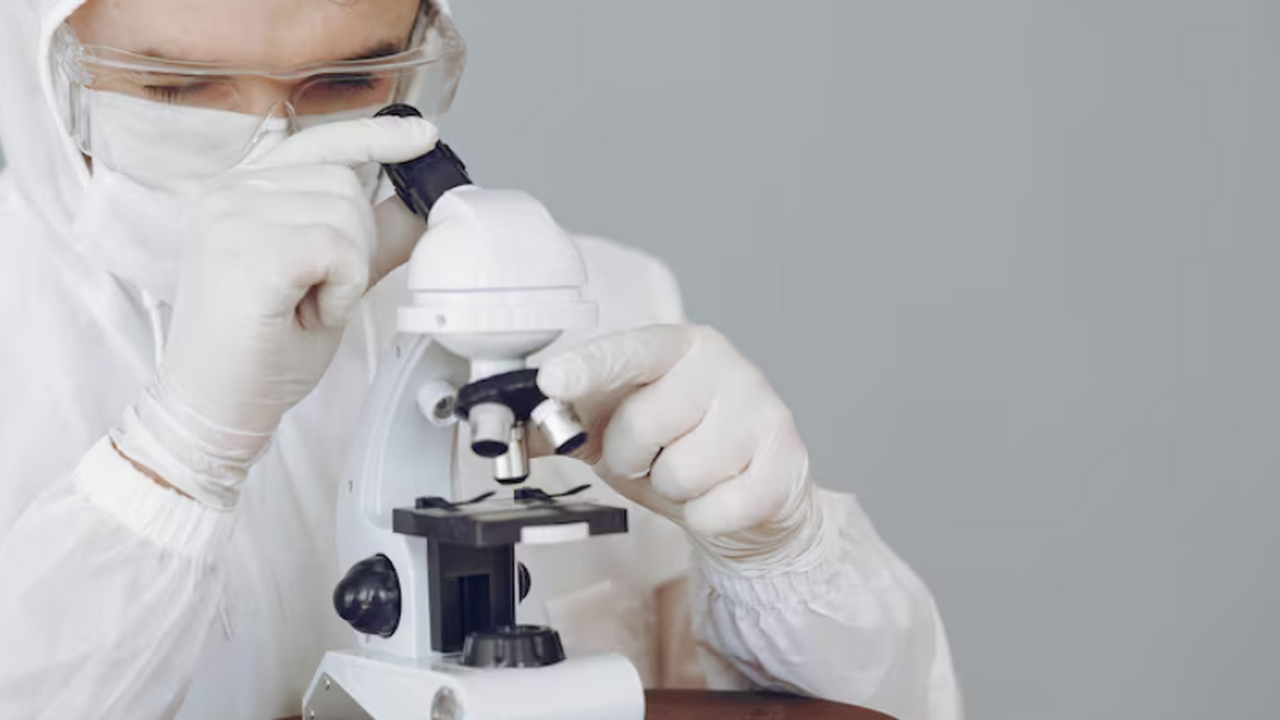 Учёные описали новый вид термофильной амёбы Inc...