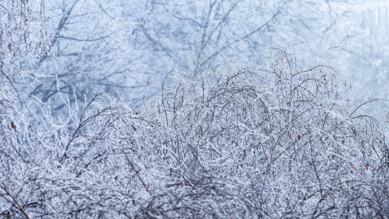В Самарской области объявлено штормовое предупр...