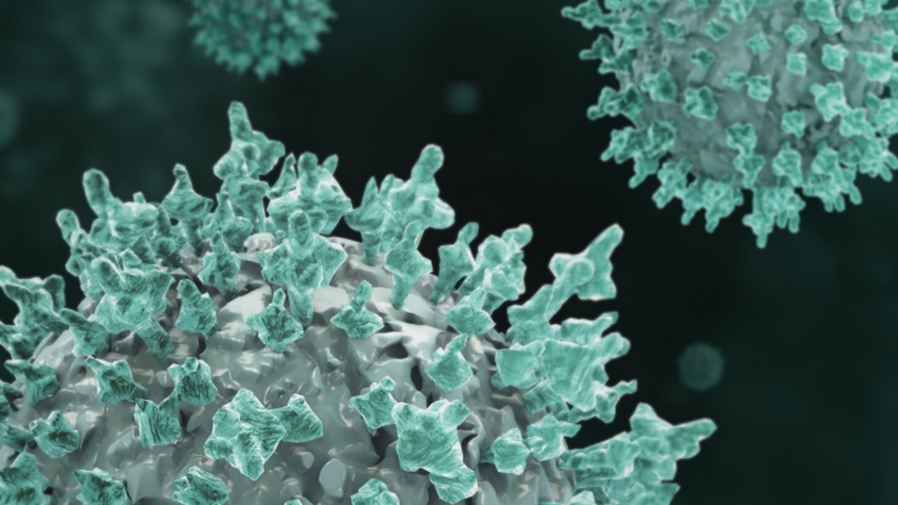 Эпидемиолог Мартынова объяснила, что рост норов...