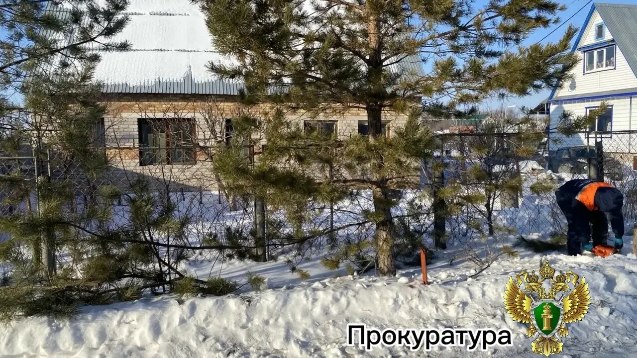 В Самарской области направили в суд дело об убийстве и расчленении Во время застолья между мужчинами произошел кон...