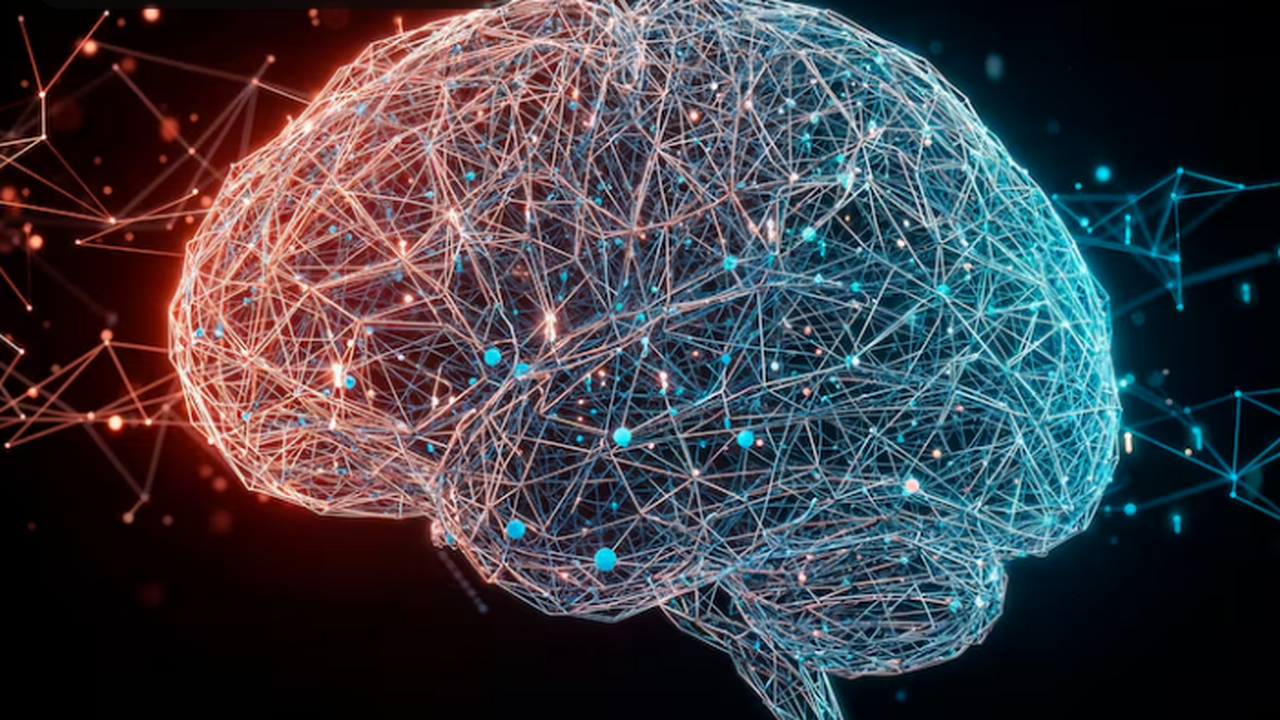 Учёные обнаружили, что разные клетки и области ...