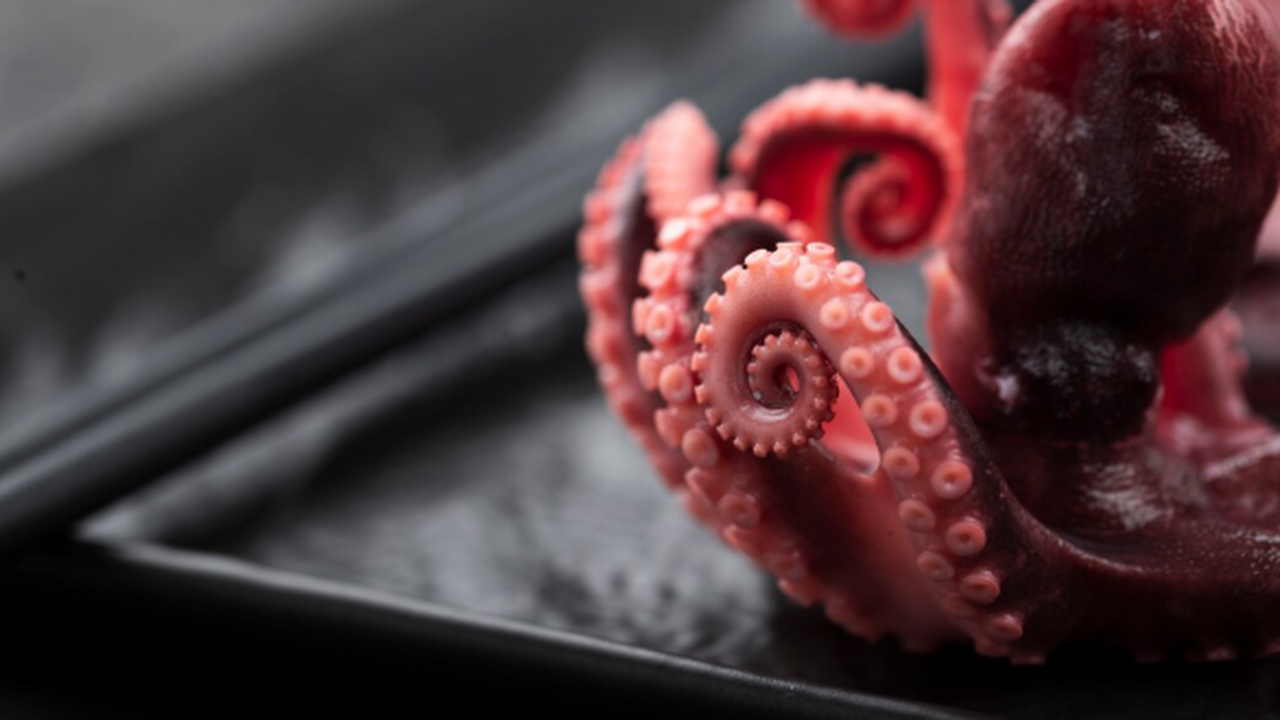 Учёные из Японии сообщили о реконструкции облик...