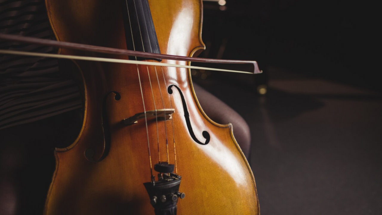 Древесина для скрипок Страдивари происходила из...