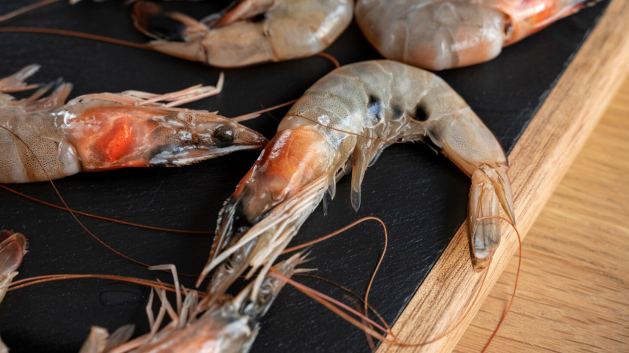 Ученые из Сибири и Мексики создали наносеребряное лекарство для креветок Учёные из России и Мексики сообщили о создании ...