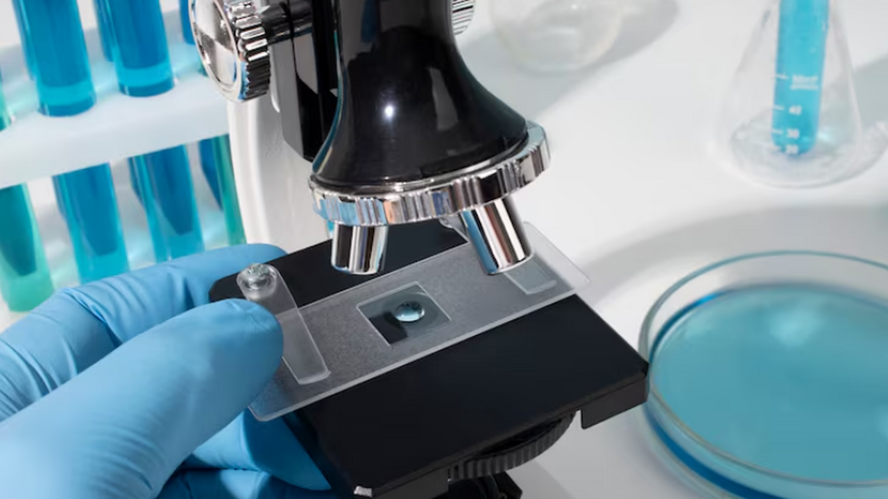 Ведет к «перезарядке» стареющих клеток: новый метод на «цветочных» наночастицах Группа ученых сообщила о создании технологии, к...