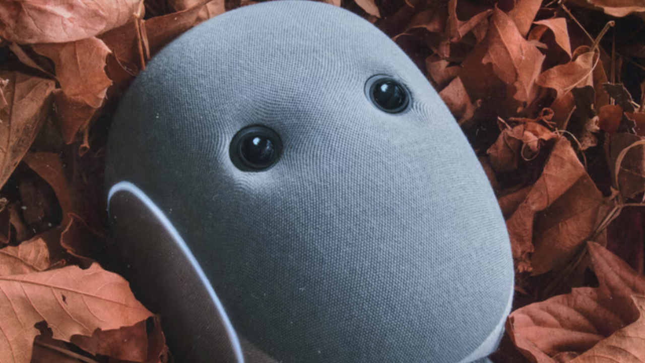 В США вышел робот-домохозяйка: моет посуду, убирает и отвечает голосом Компания 1X представила для предзаказа в США ро...