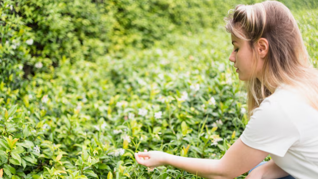 Исследование eLife показало, что египетская хло...