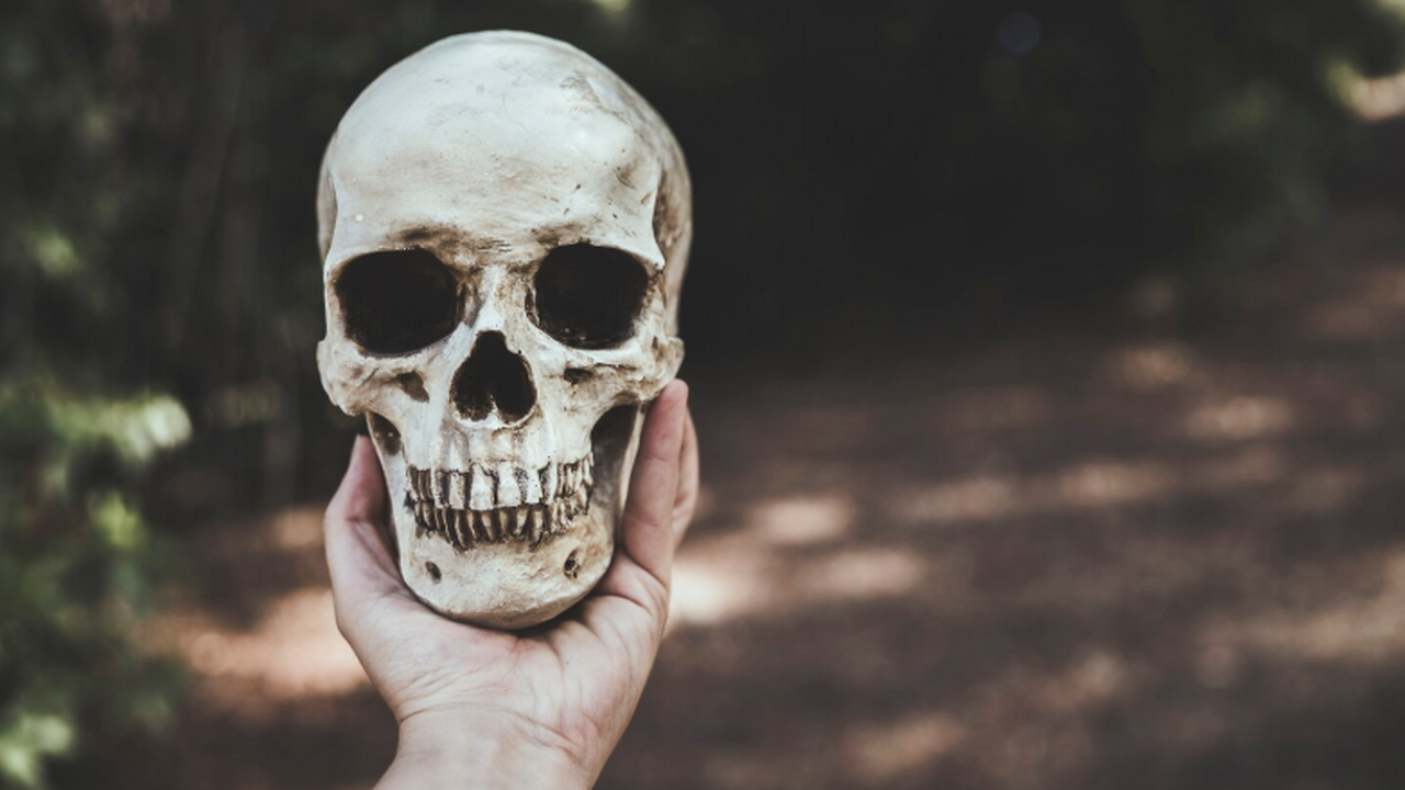 Череп из Ла‑Ломы стал редким «моментальным снимком» Кантабрийских войн Череп, обнаруженный в разрушенной стене оппидум...