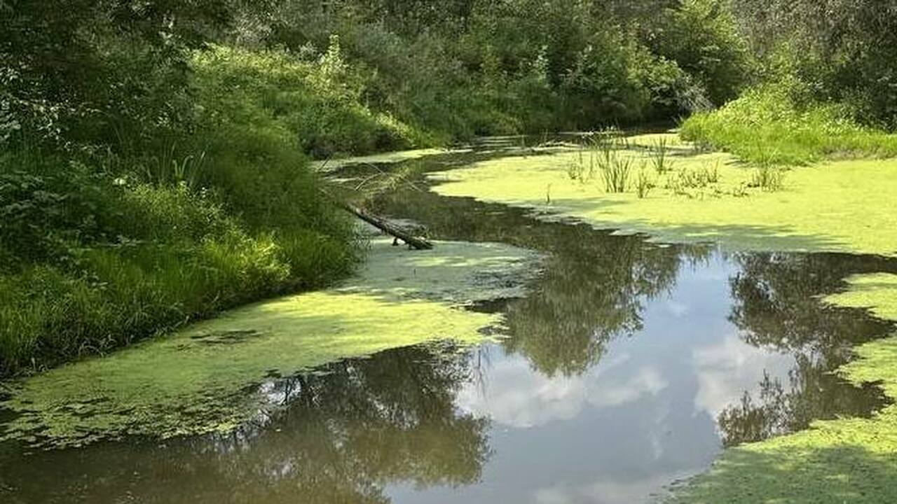 Выявлено превышение ПДК по ряду вредных веществ