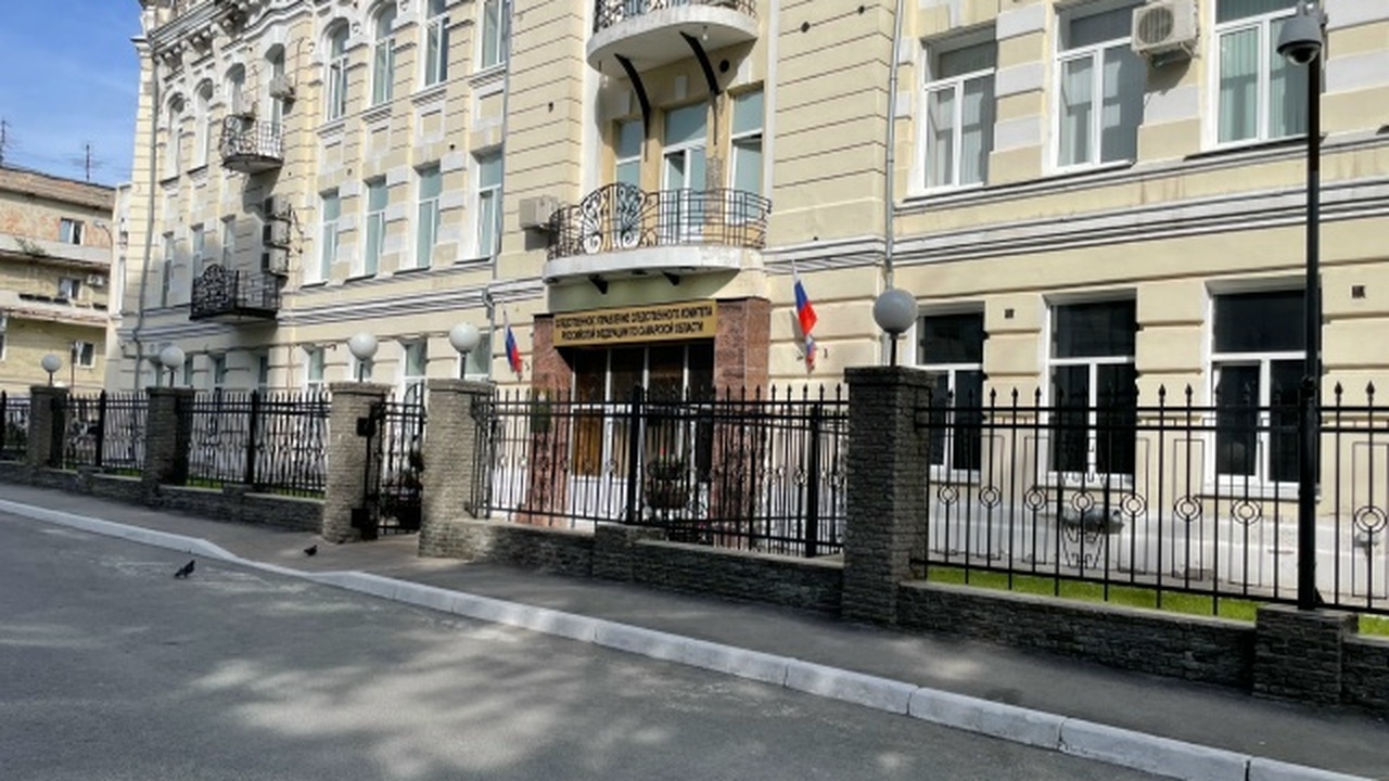 В Тольятти возбудили дело об участии в нежелательной организации С 2022 по 2026 год мужчина неоднократно перечис...