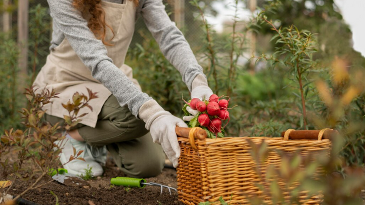 С марта дачи пенсионеров начнут учитывать строж...