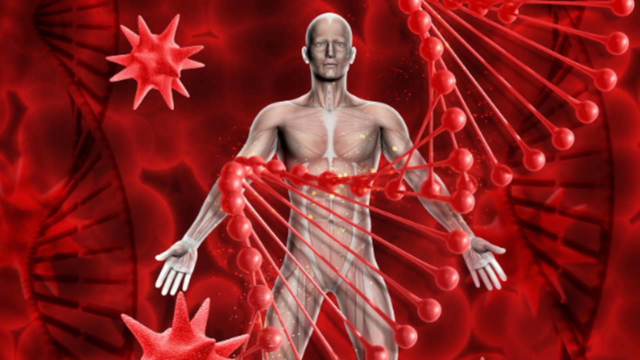 Анализ 27 000 снимков с помощью ИИ показал, что...