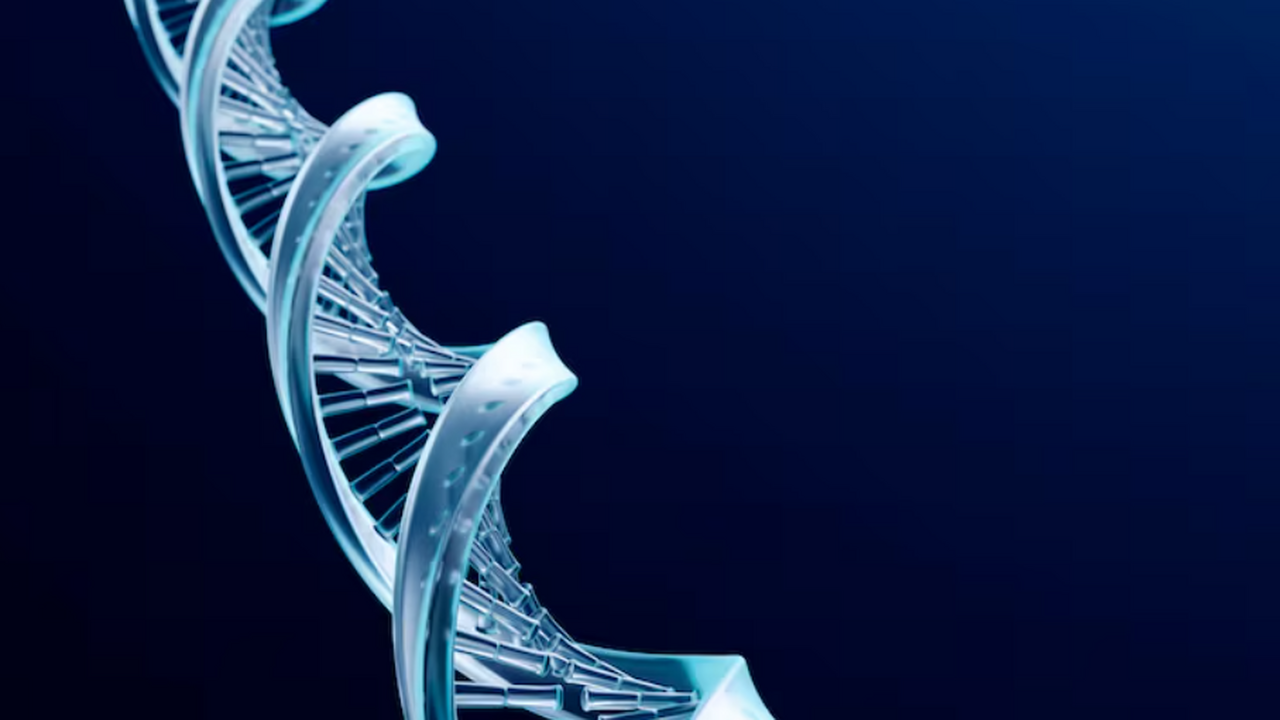 Ученые исследовали ДНК древних якутов, выявили ...