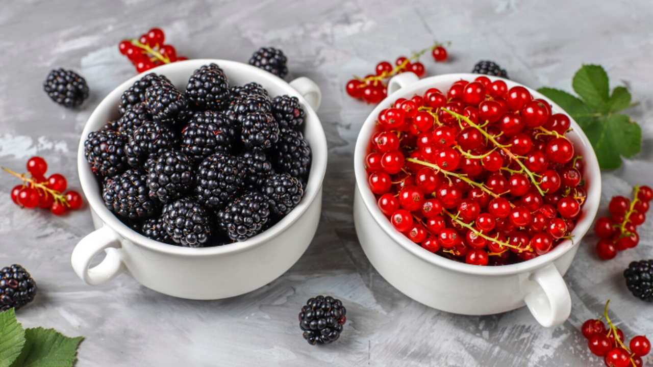 Исследование показало, что ягоды способны умере...