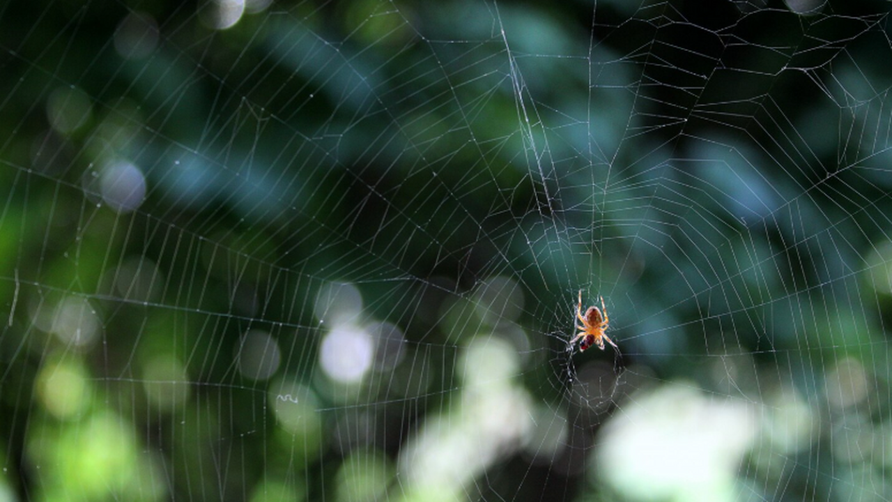 Команда под руководством Траяна Брада описала э...