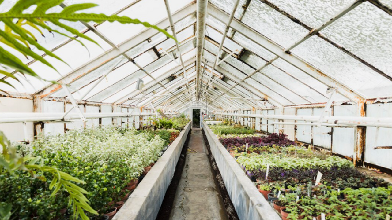 Сезон закрыт, но умные дачники уже готовят весе...