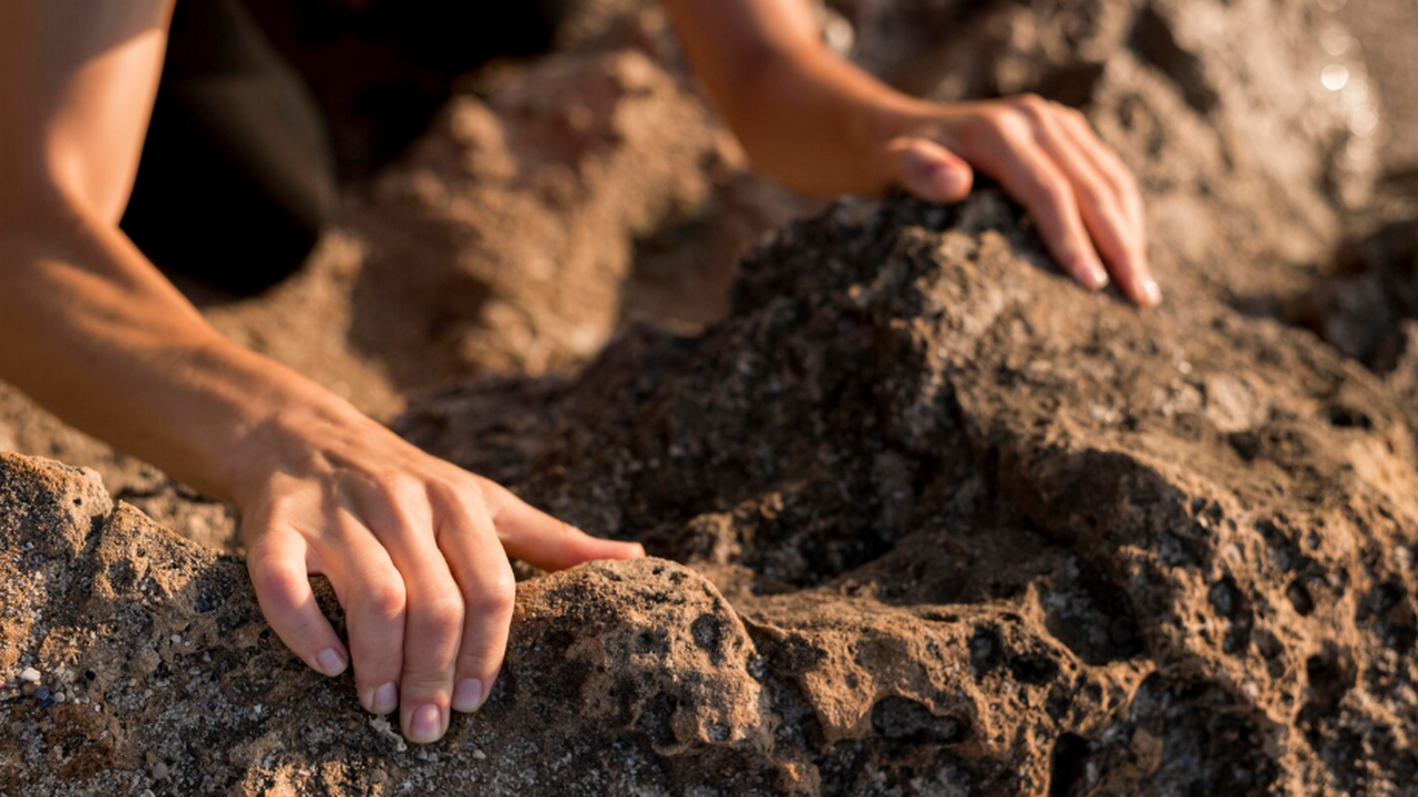 Голландские археологи обнаружили костяной римский фаллос возрастом 2000 лет Археологи в Неймегене изучают тысячи римских на...