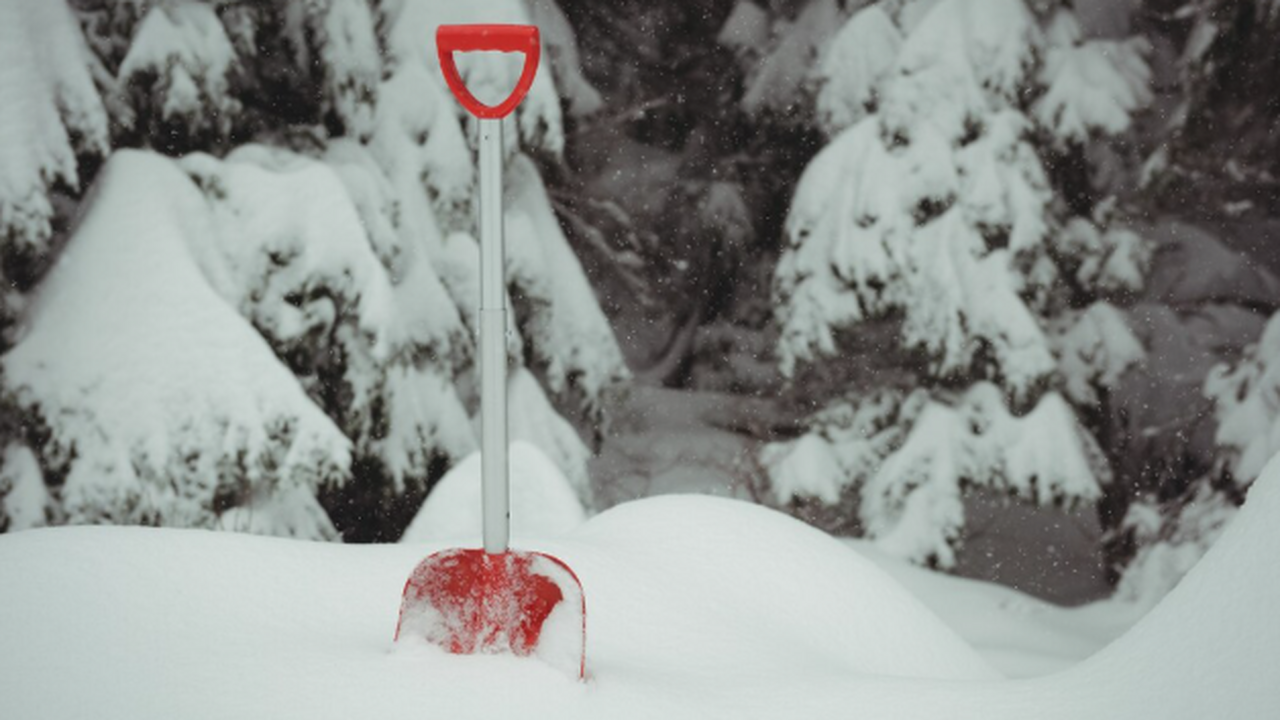 Соль против гололёда: как безопасно использоват...