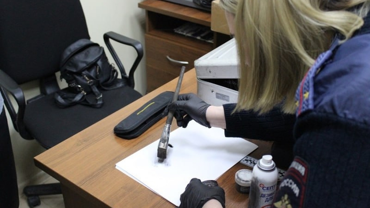 Полицейские провели профориентационные экскурсии