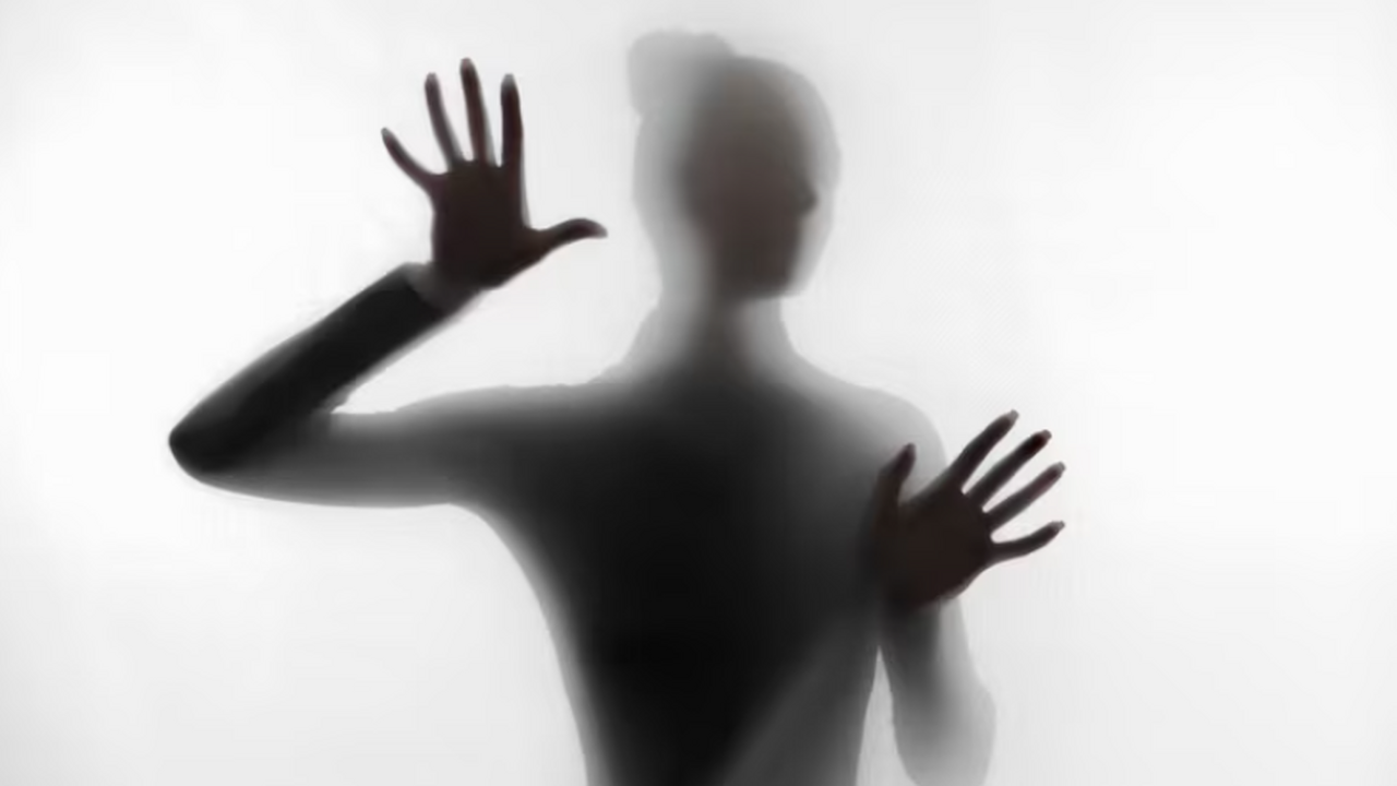 В МГУ разработали метод DynaMix для идентификац...