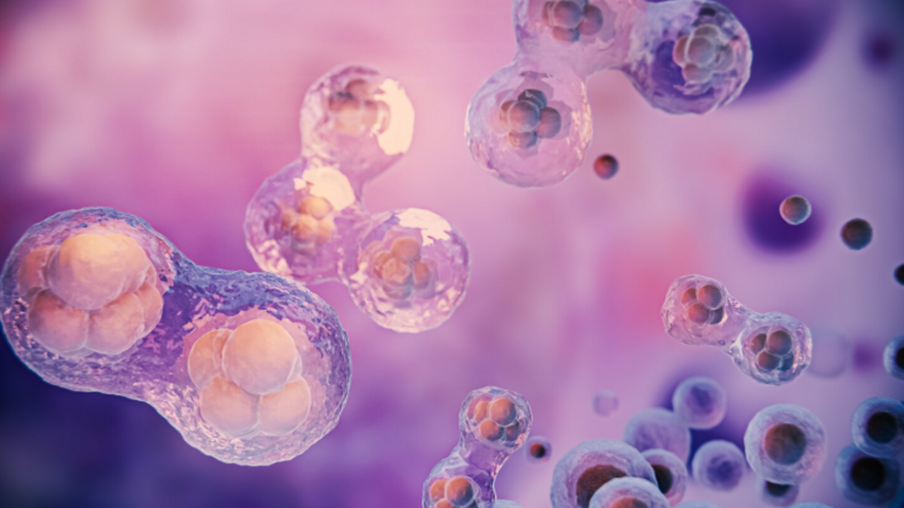 Учёные описали генетический механизм, который п...