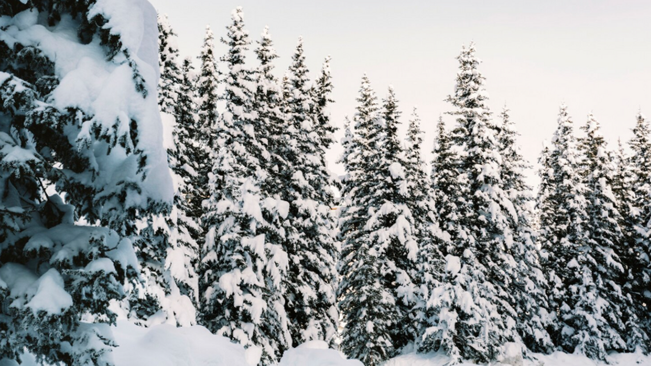 Красноярский край: уверенность таёжников могла мешать их спасению Местные жители Красноярского края предполагают,...