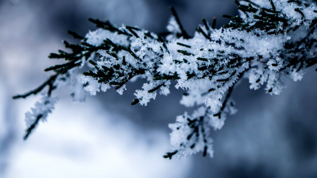 Леус: первые 20-градусные морозы зафиксированы в Коми и Ненецком округе На северо‑востоке европейской части России зафи...