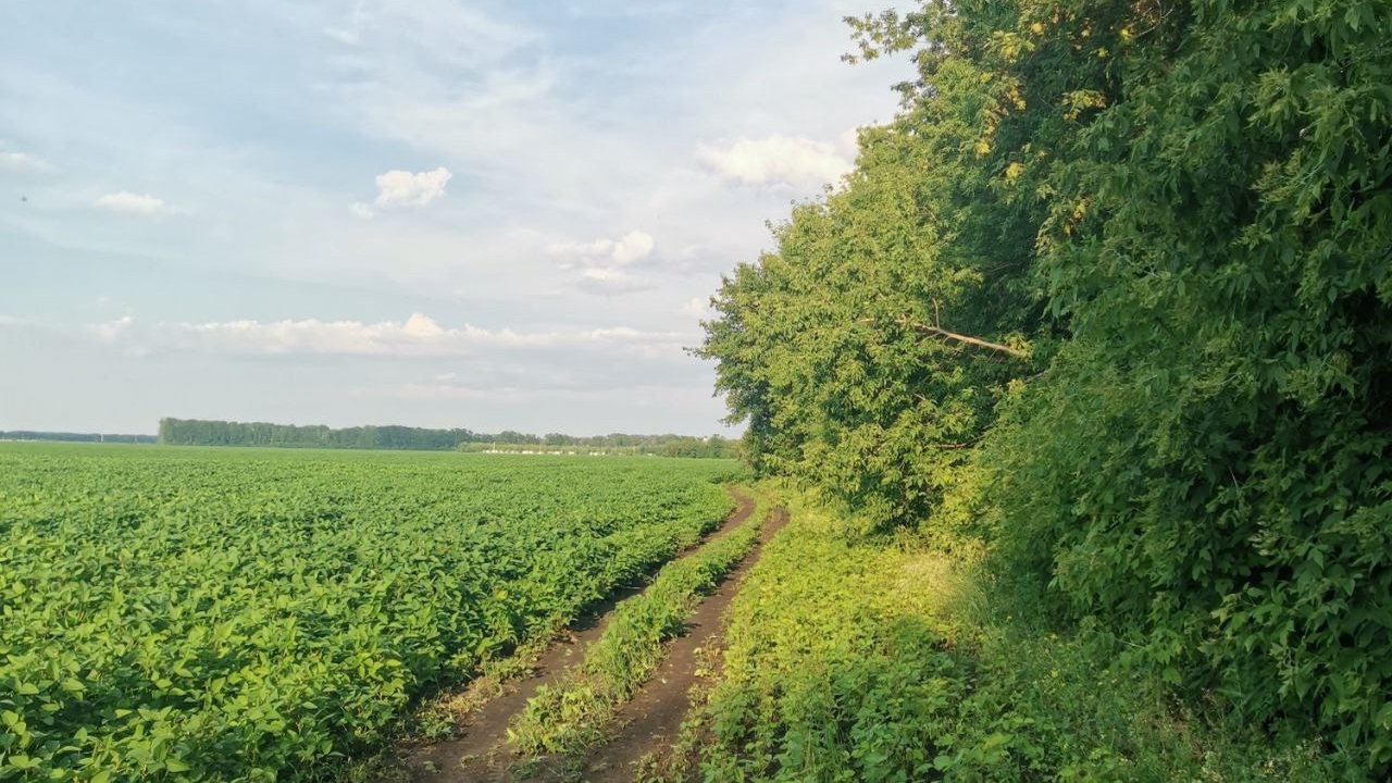 Компания "Рециклинг" не смогла узаконить переработку бетона в Тольятти Минград области отказал компании в изменении ка...