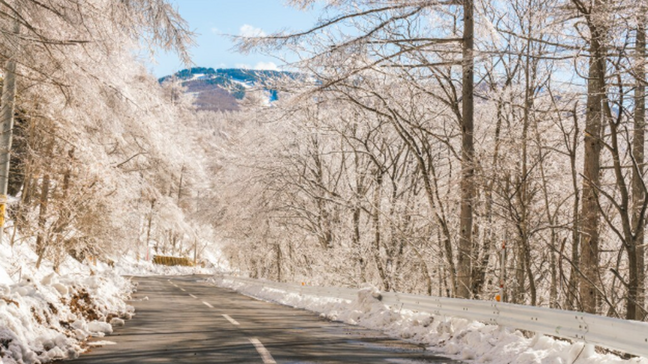 Согласно последним прогнозам синоптиков, на евр...